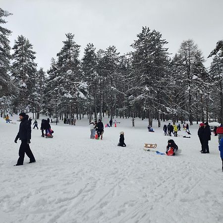 Tina Apartman Zlatibor Διαμέρισμα Εξωτερικό φωτογραφία